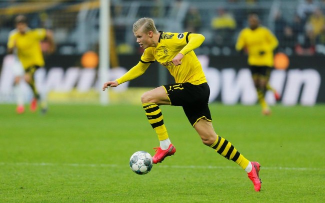 很多人把麻 很多人把麻