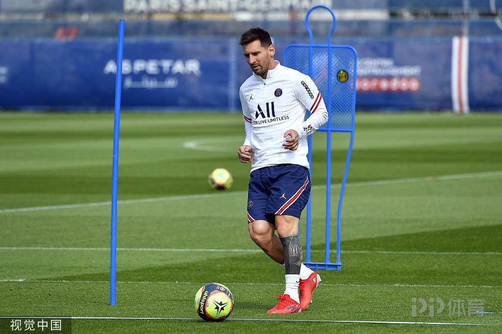 观察要点 观察要点